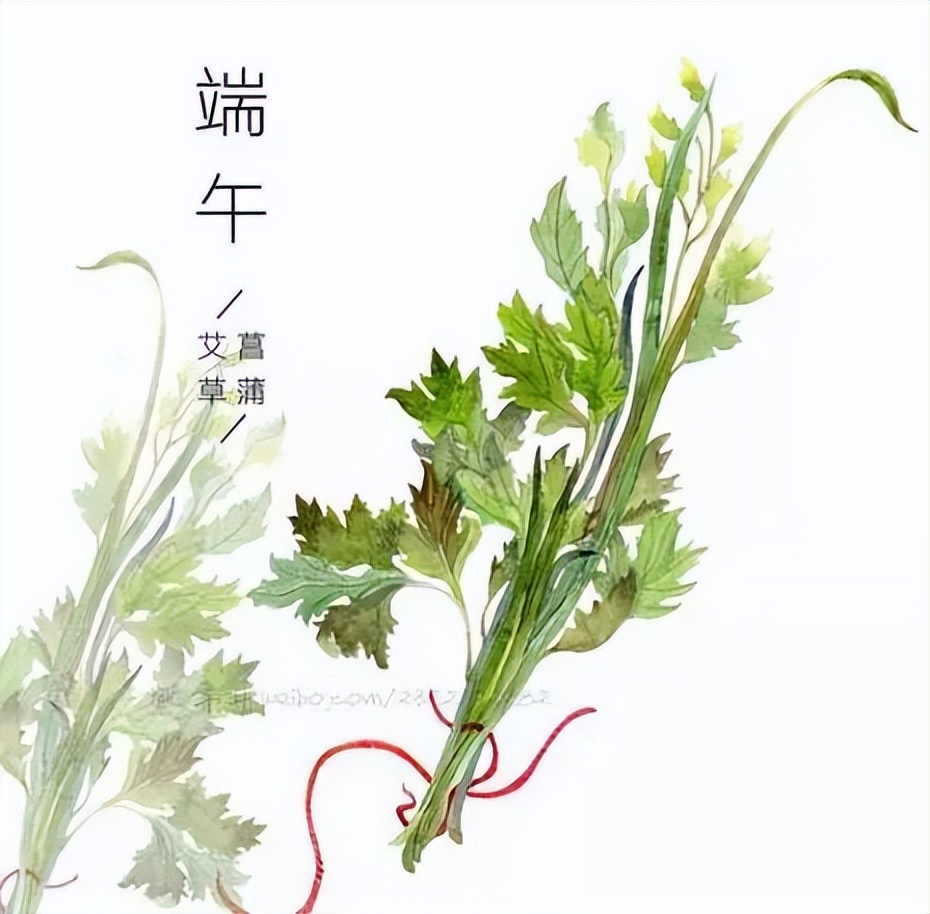 端午節的(de)真正由來！太漲知識(shí)了